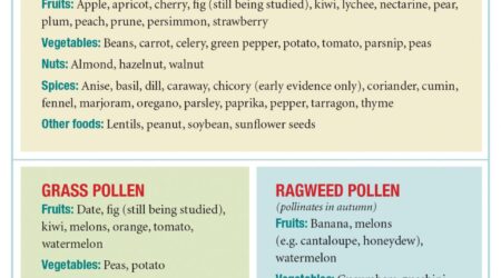 Food Allergy Test: Know Your Allergies And Stay Safe