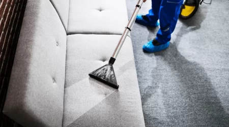 How Often Should I Have My Sofa Professionally Cleaned?